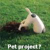 Pet project?